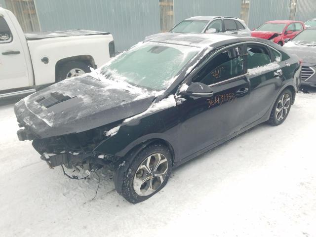 KIA FORTE EX 2019 3kpf54ad8ke112494