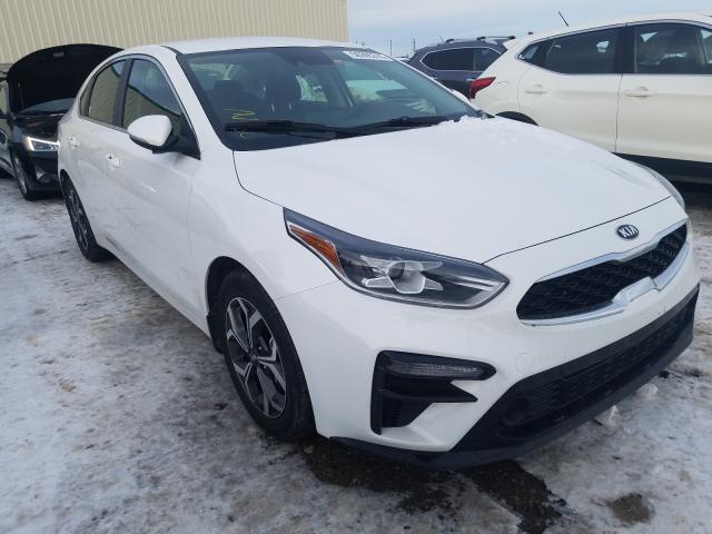 KIA FORTE EX 2019 3kpf54ad8ke116514