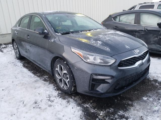 KIA FORTE EX 2019 3kpf54ad8ke116559