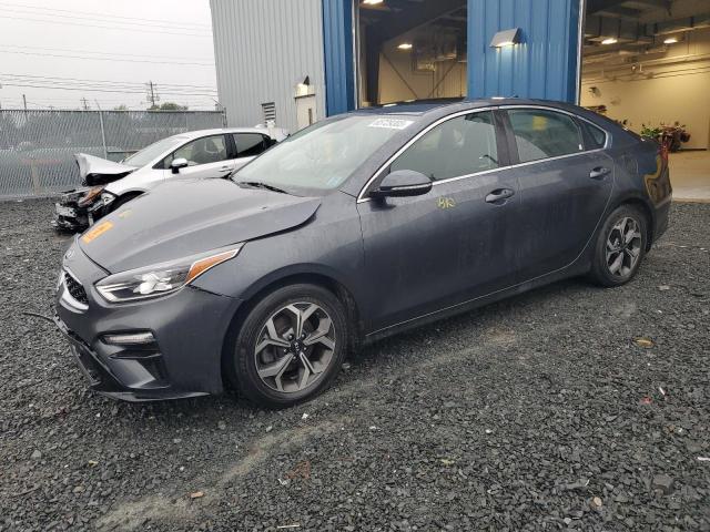 KIA FORTE EX 2019 3kpf54ad9ke102167