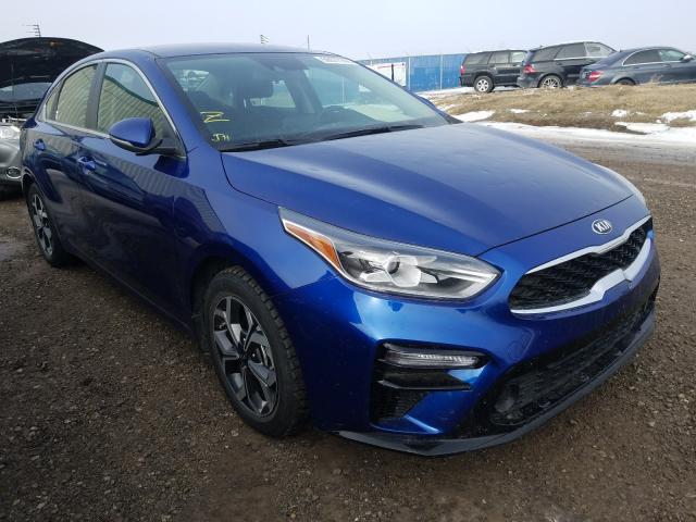 KIA FORTE EX 2019 3kpf54ad9ke116540