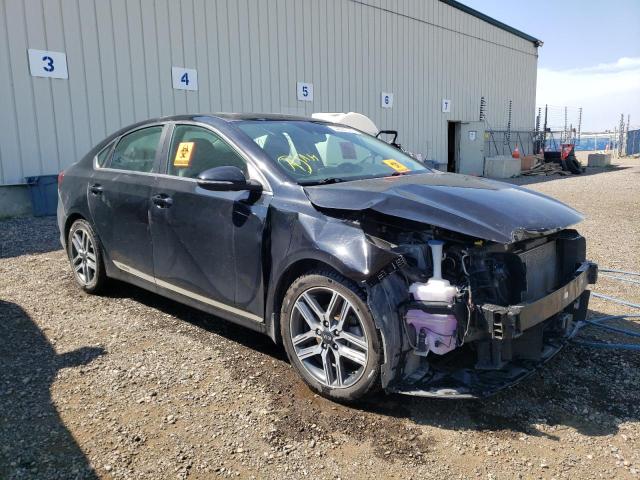 KIA FORTE EX 2019 3kpf54adxke052749