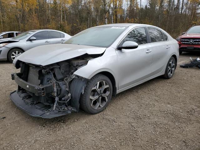 KIA FORTE EX 2019 3kpf54adxke067946