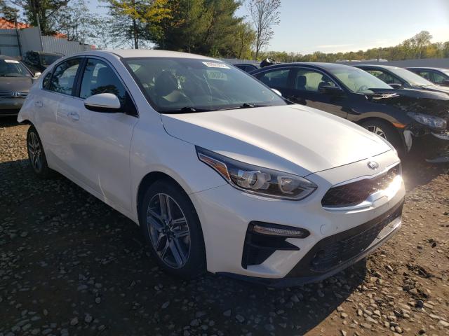 KIA FORTE EX 2019 3kpf54adxke121388