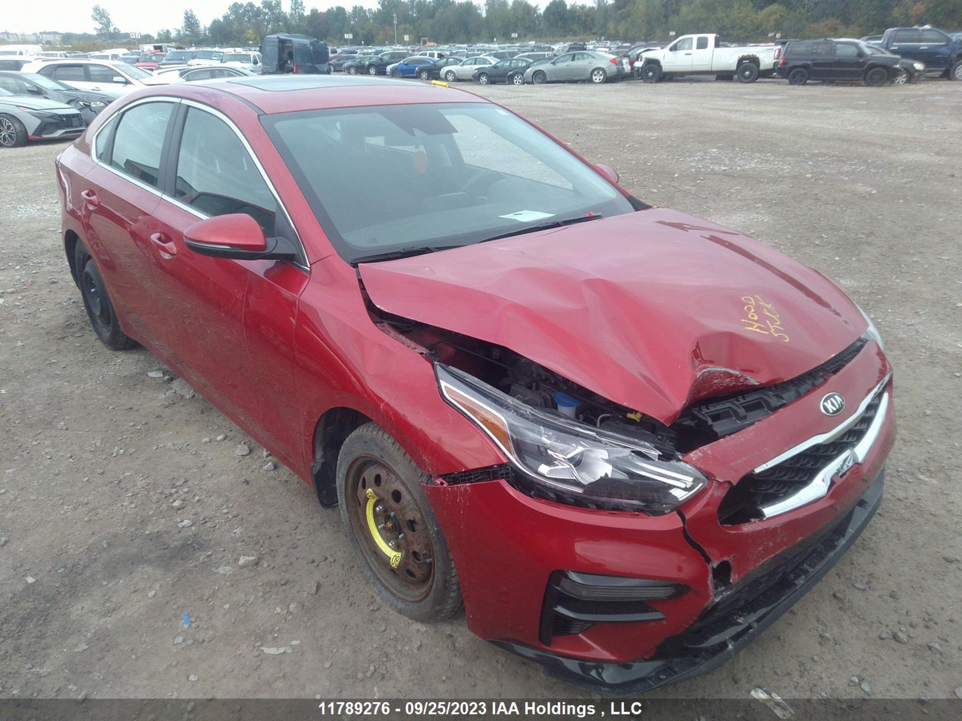 KIA FORTE 2021 3kpf54adxme392504