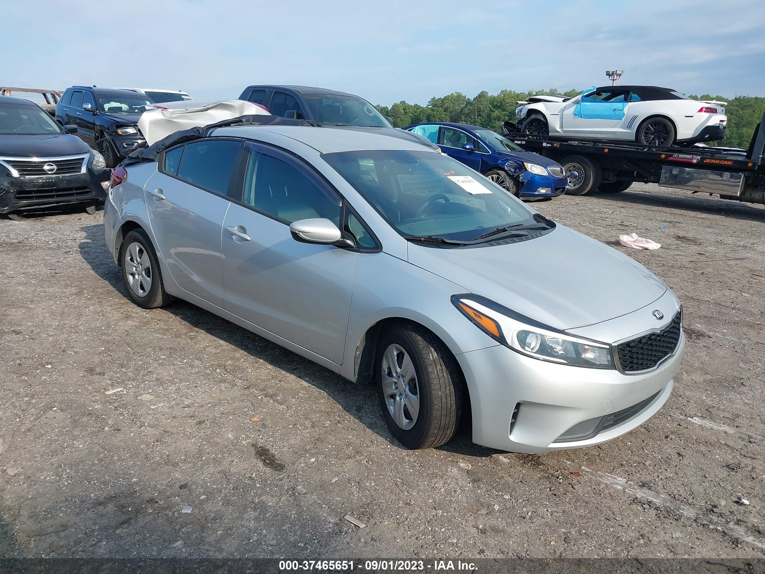 KIA FORTE 2018 3kpfk4a79je168946