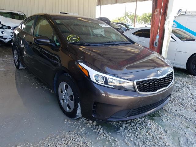 KIA NULL 2017 3kpfl4a70he125250