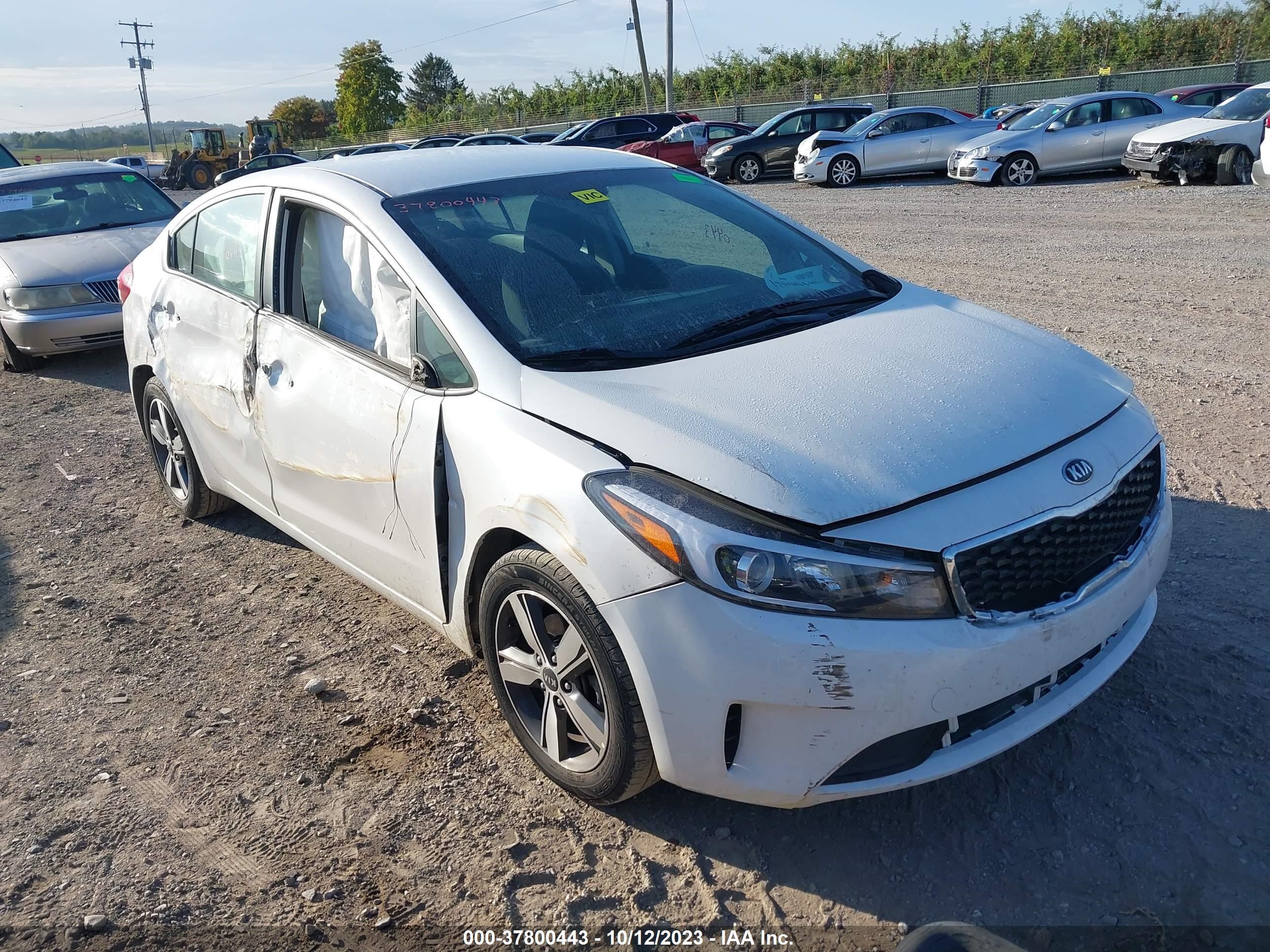 KIA FORTE 2018 3kpfl4a74je274511