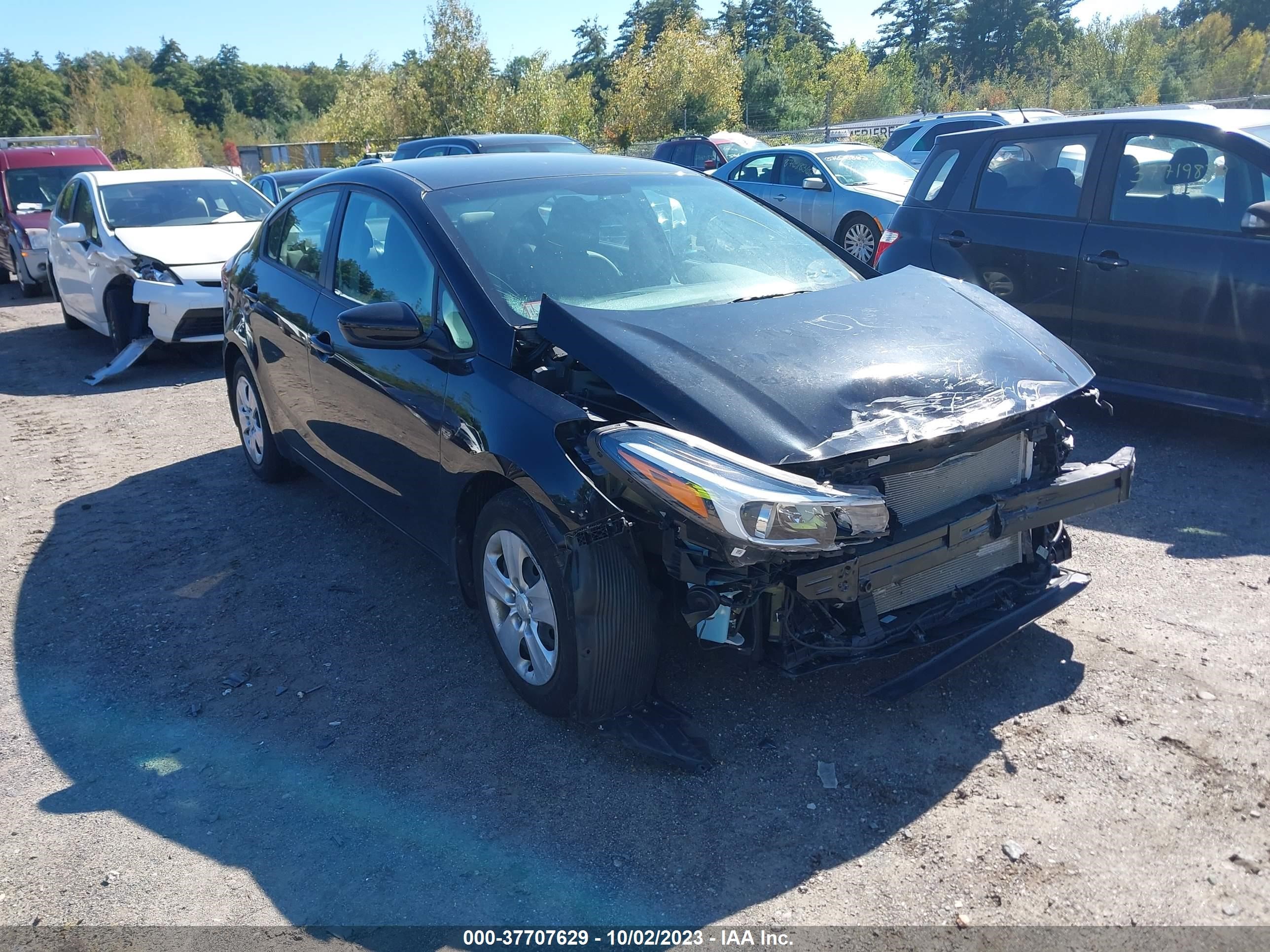 KIA FORTE 2017 3kpfl4a75he078216