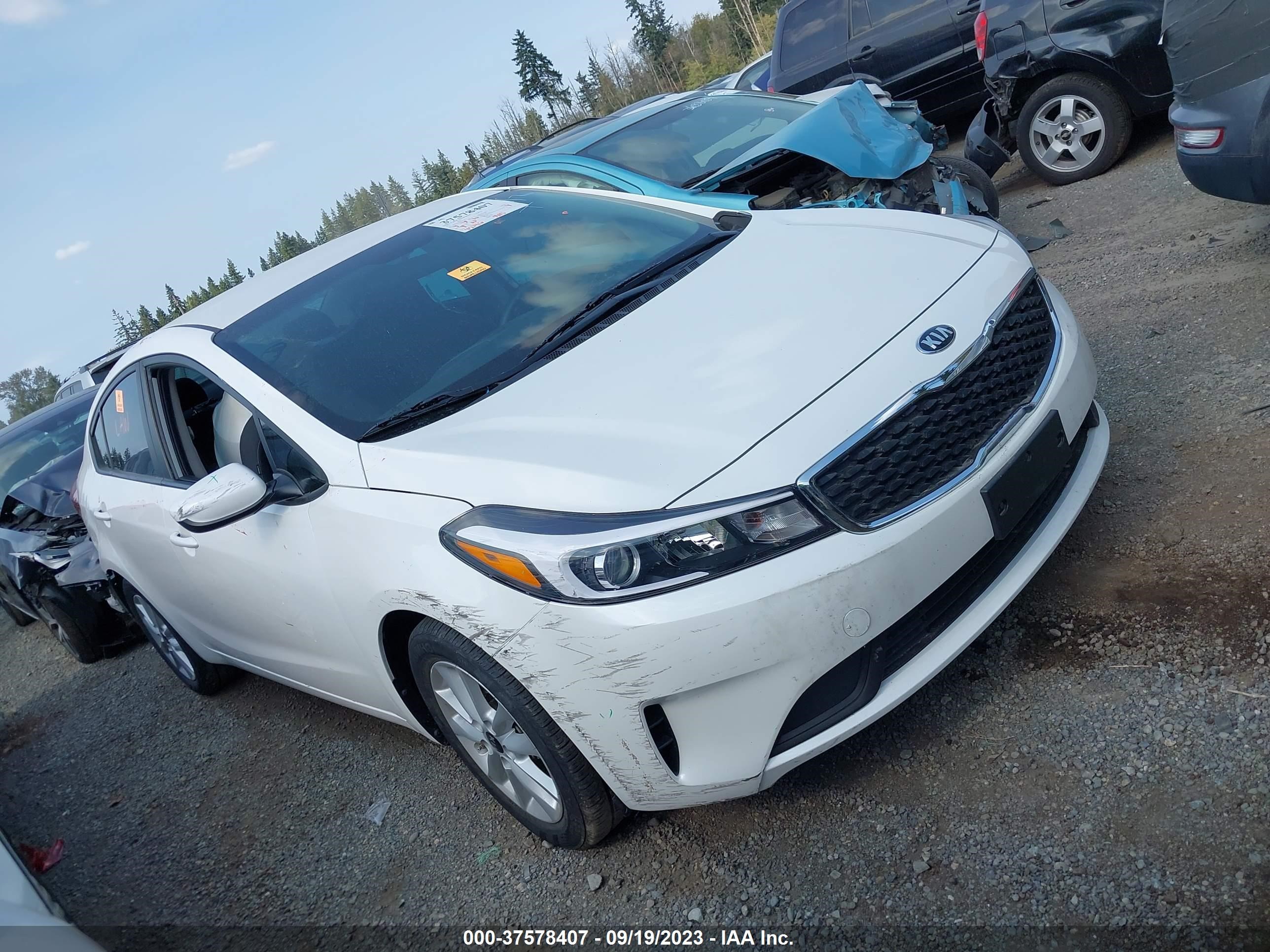 KIA FORTE 2017 3kpfl4a79he074721