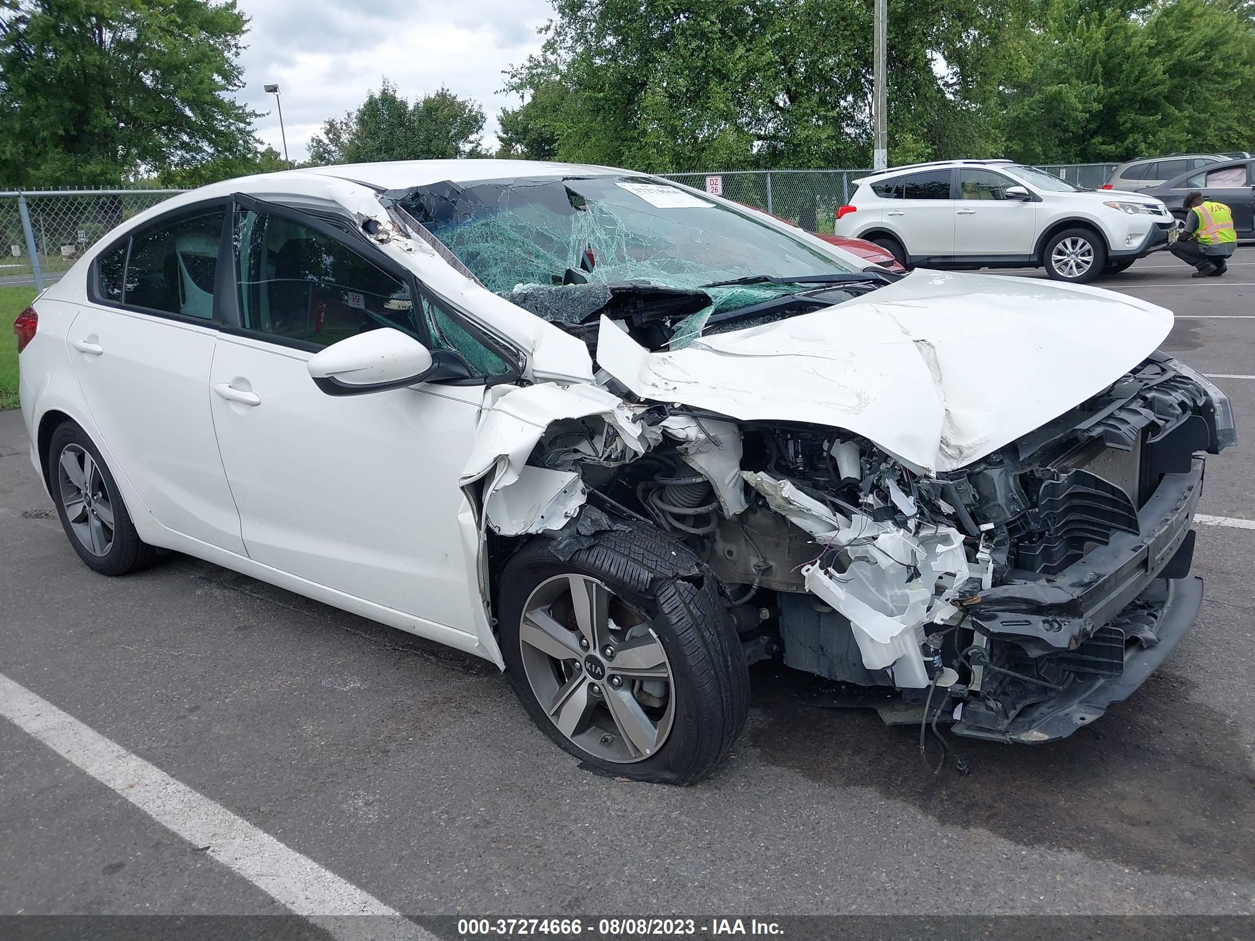 KIA FORTE 2018 3kpfl4a79je186117