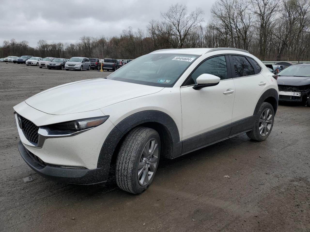 MAZDA CX-30 2022 3mvdmbbl7nm401427