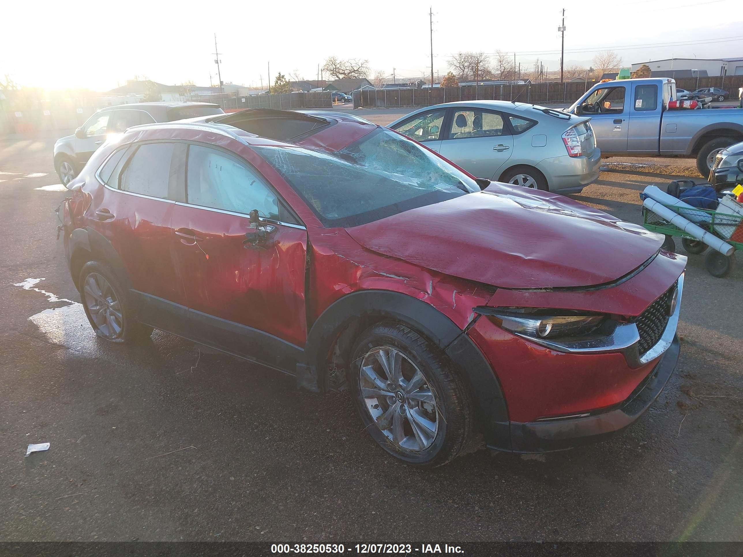 MAZDA CX-30 2022 3mvdmbcl3nm403934