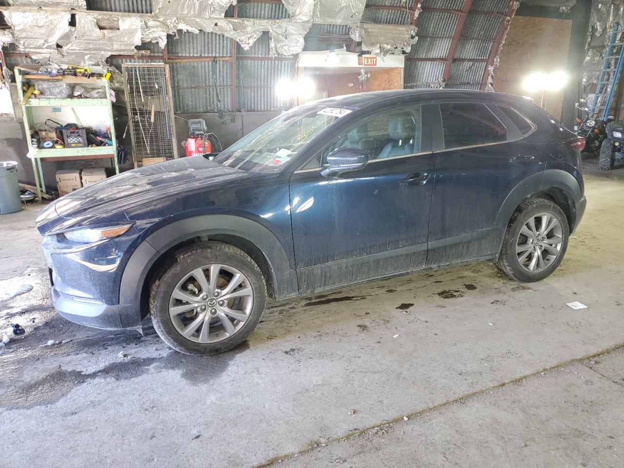 MAZDA CX-30 2020 3mvdmbcl8lm120426