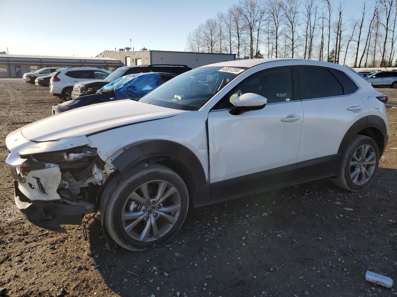 MAZDA CX-30 2020 3mvdmbdl1lm118628