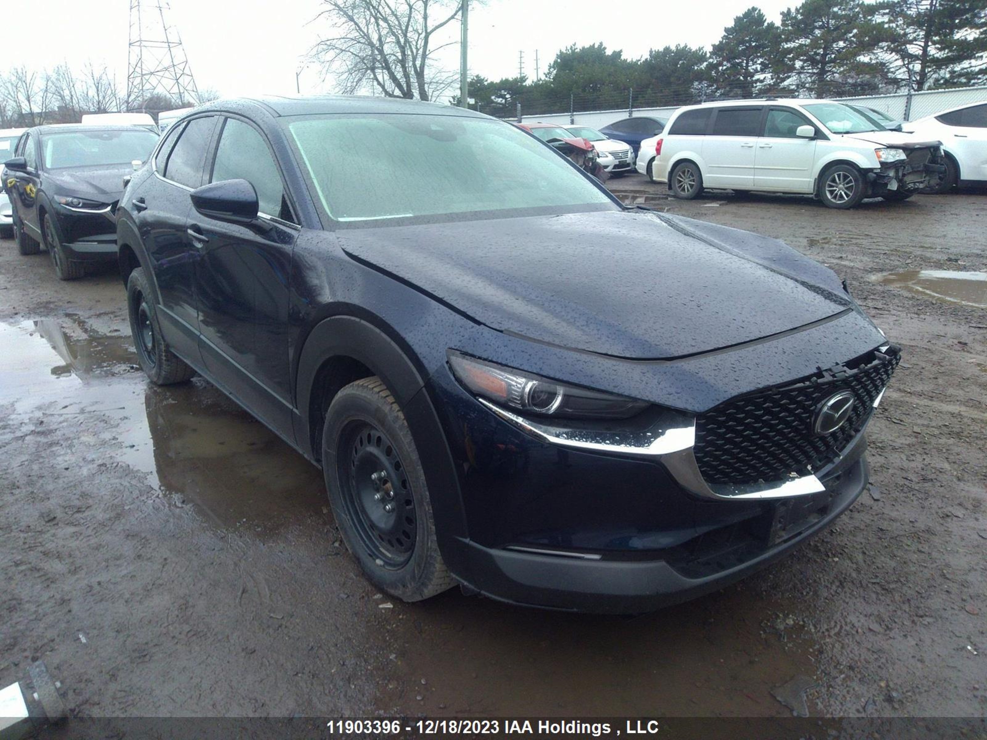 MAZDA CX-30 2021 3mvdmbdl2mm231490