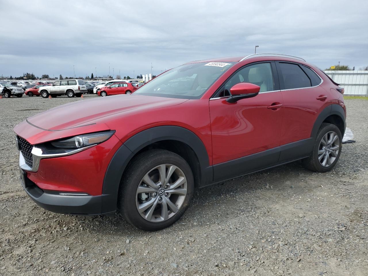 MAZDA CX-30 2022 3mvdmbdl4nm458651