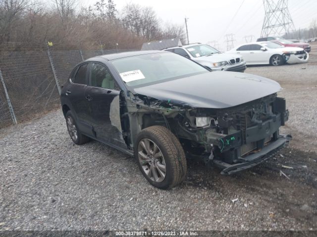 MAZDA CX-30 2019 3mvdmbdlxlm105215