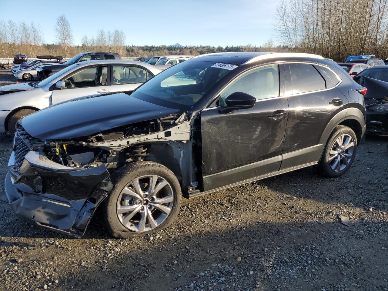 MAZDA CX-30 2023 3mvdmbdm3pm502411