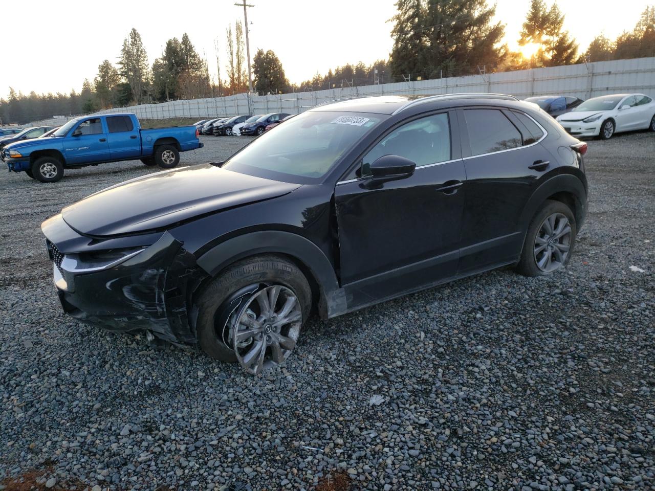 MAZDA CX-30 2023 3mvdmbdmxpm516676