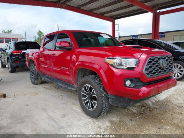 TOYOTA TACOMA 2023 3tmaz5cn5pm207411