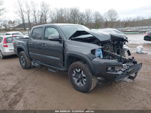 TOYOTA TACOMA 2023 3tmcz5an0pm561445