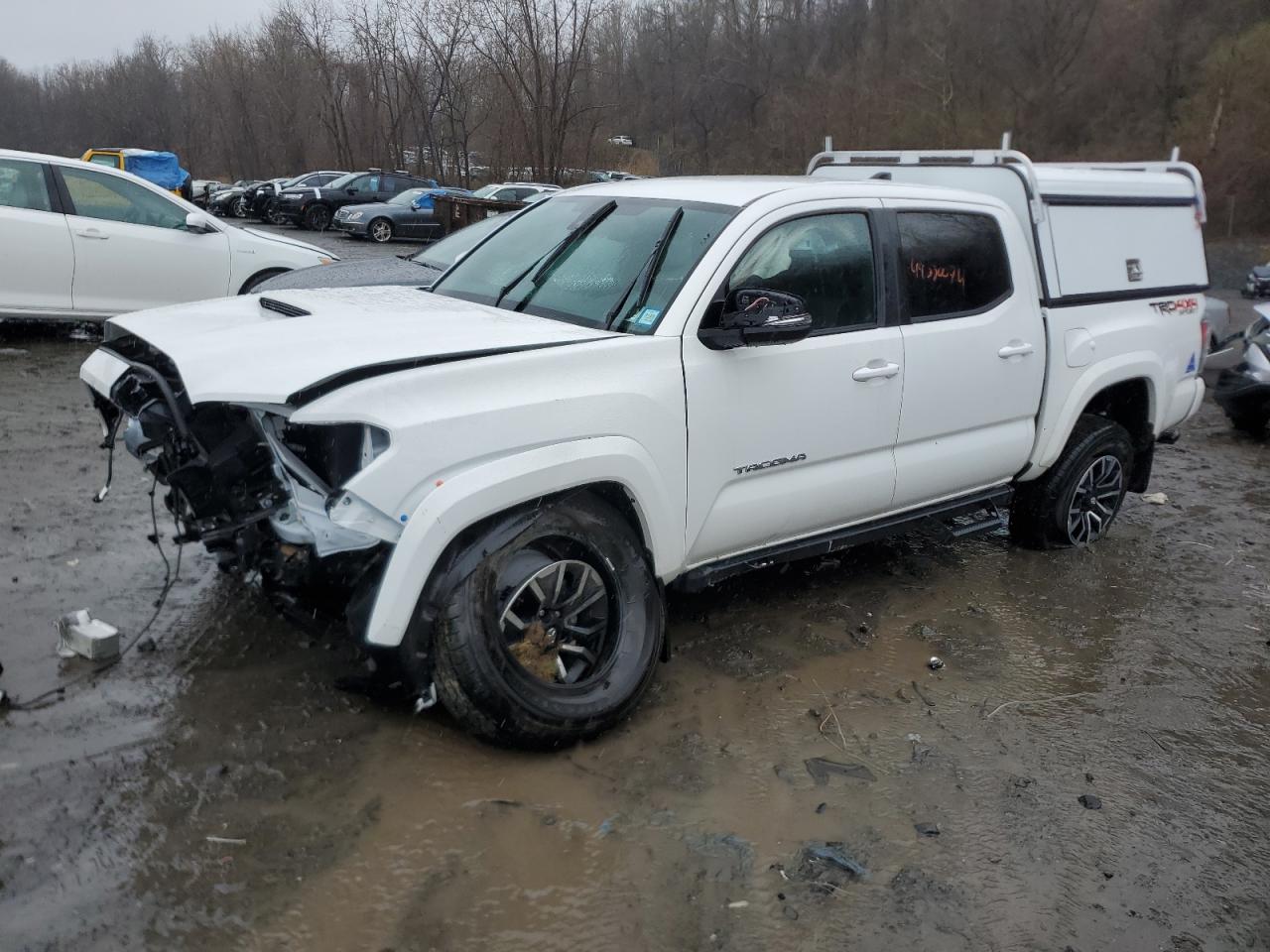 TOYOTA TACOMA 2023 3tmcz5an0pm645071