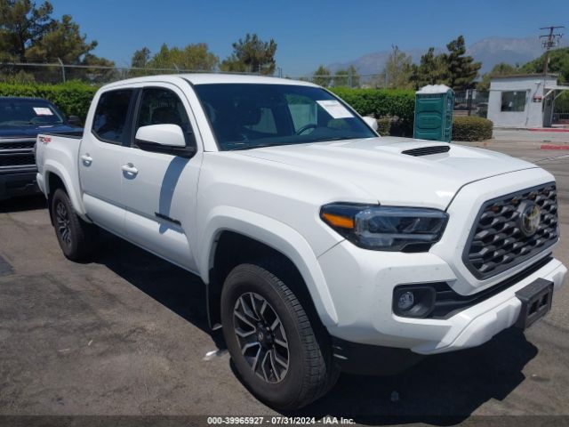 TOYOTA TACOMA 2023 3tmcz5an0pm648326