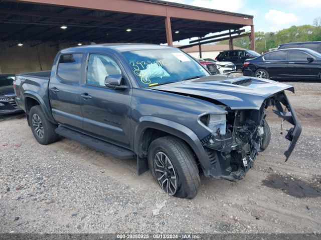 TOYOTA TACOMA 2023 3tmcz5an1pm581770