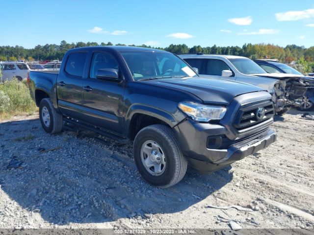 TOYOTA TACOMA 4WD 2023 3tmcz5an4pm607973