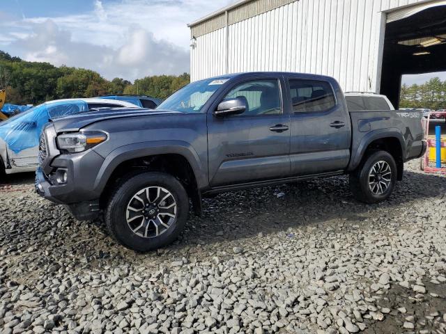 TOYOTA TACOMA 2023 3tmcz5an5pm549405