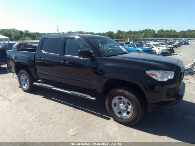 TOYOTA TACOMA 2023 3tmcz5an5pm580007