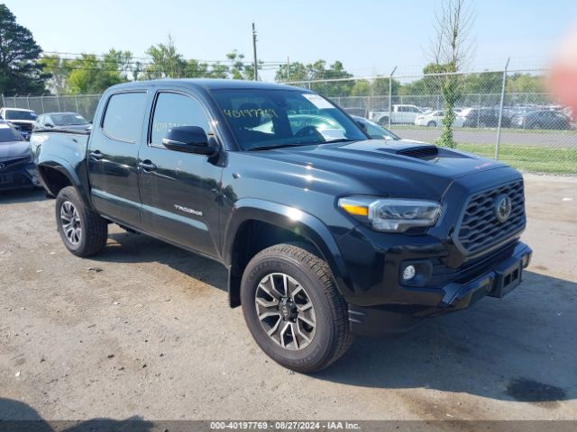 TOYOTA TACOMA 2023 3tmcz5an5pm632042