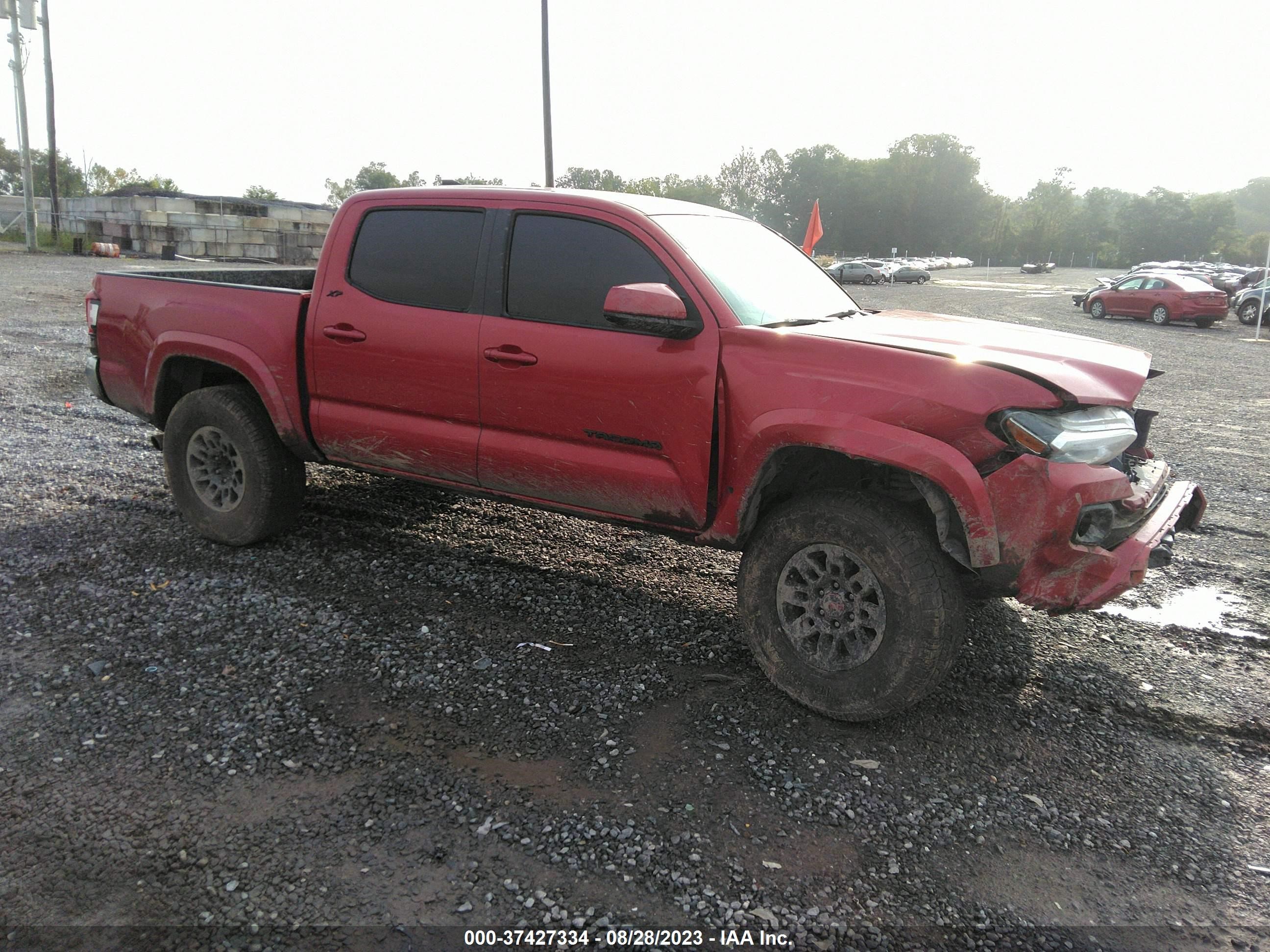 TOYOTA TACOMA 2019 3tmcz5an6km206319