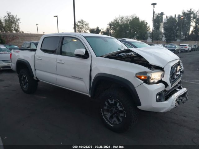 TOYOTA TACOMA 2019 3tmcz5an7km243265