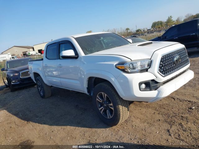 TOYOTA TACOMA 2019 3tmcz5an7km270840