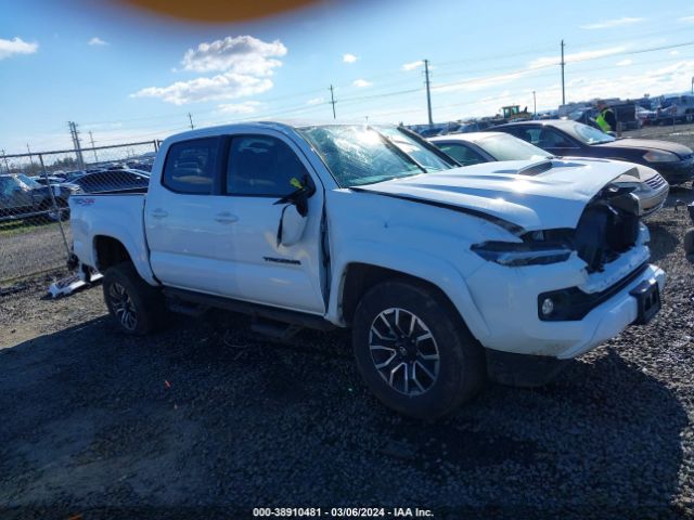 TOYOTA TACOMA 2023 3tmcz5an7pm560731