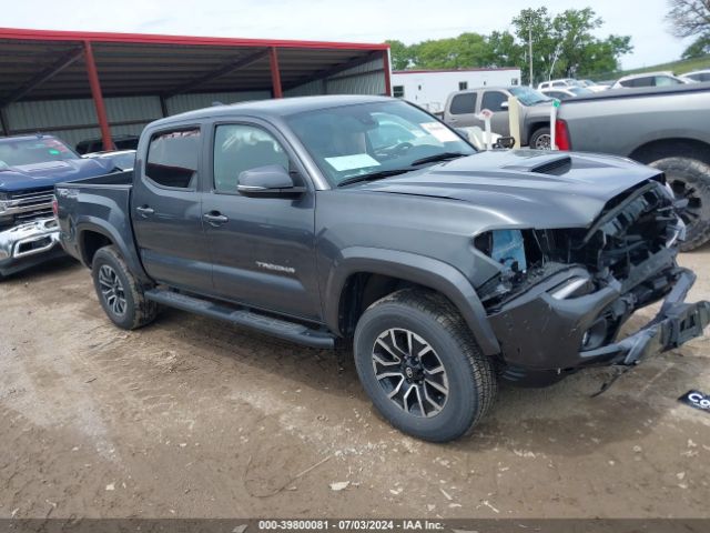 TOYOTA TACOMA 2023 3tmcz5an7pm604050