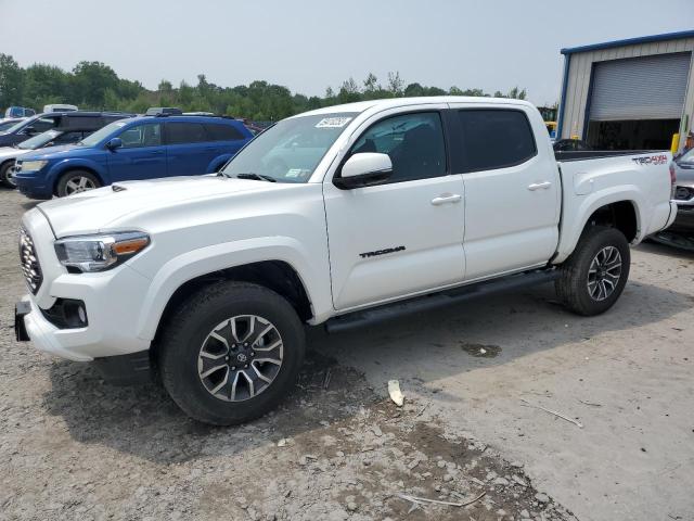 TOYOTA TACOMA DOU 2023 3tmcz5an8pm568773