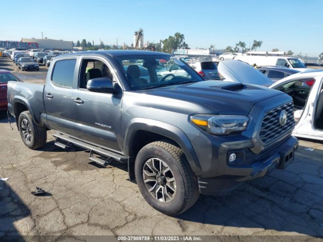 TOYOTA TACOMA 2023 3tmdz5bn0pm143910