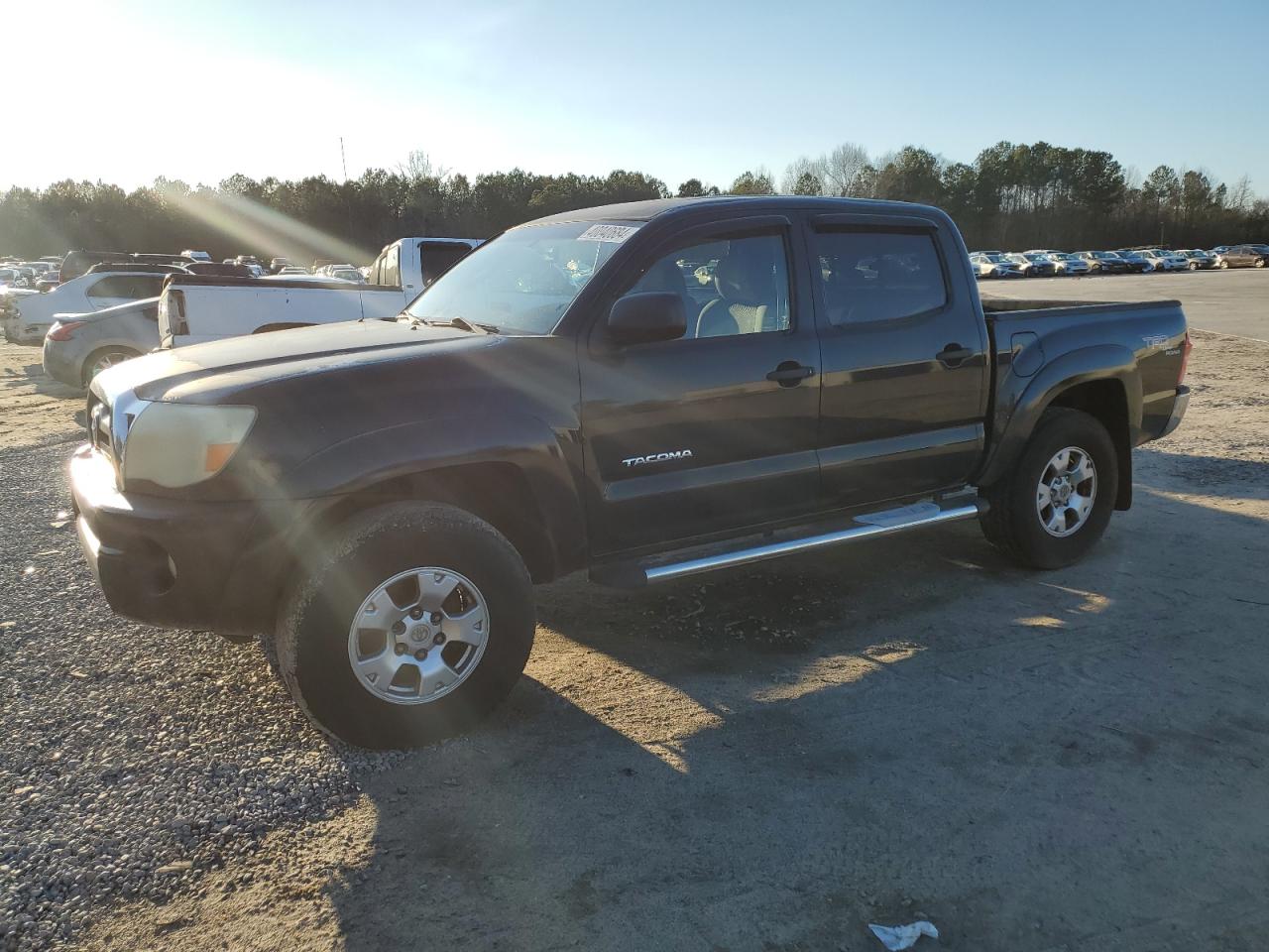 TOYOTA TACOMA 2006 3tmju62n36m024013