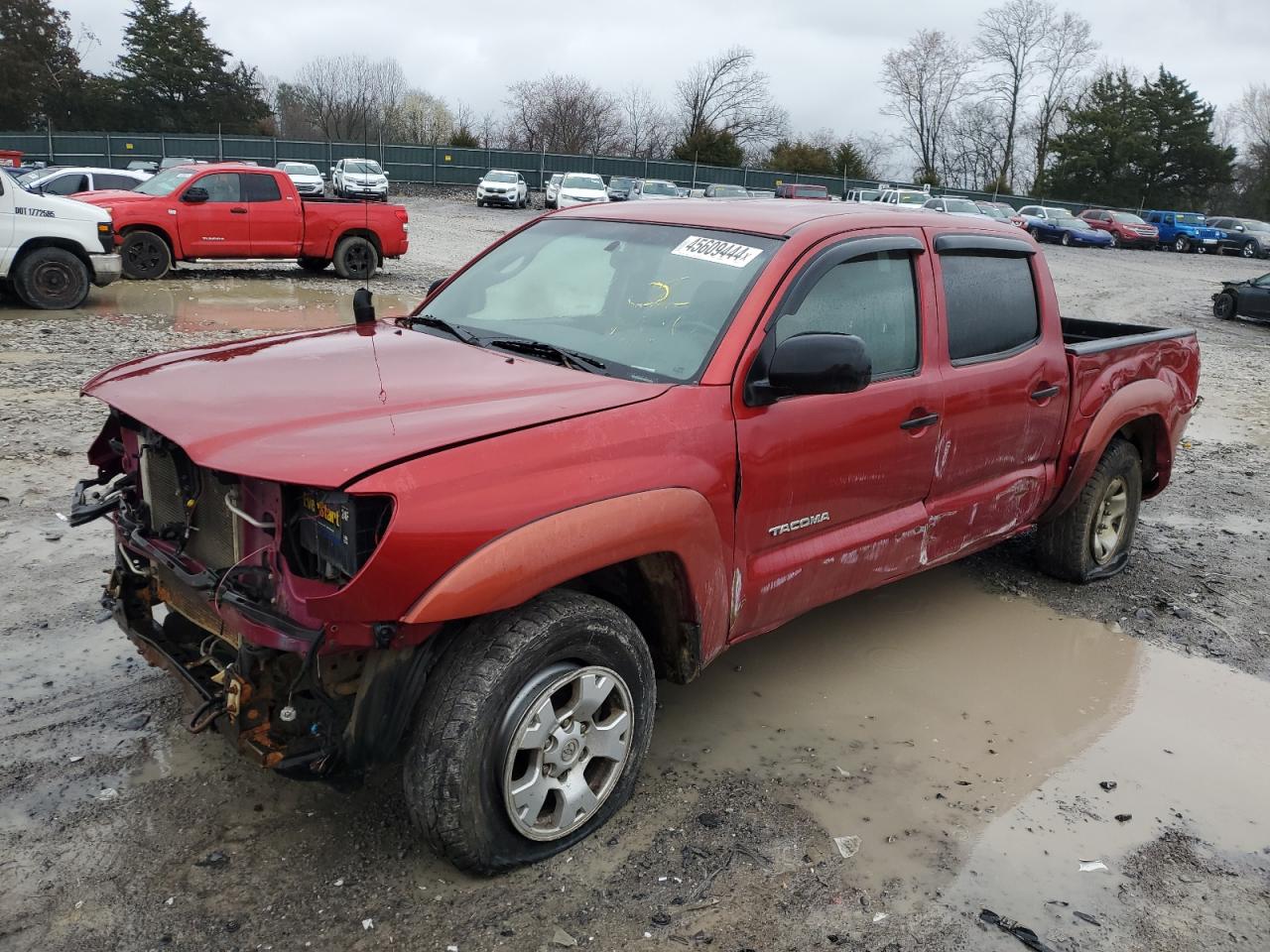 TOYOTA TACOMA 2008 3tmju62n48m054267