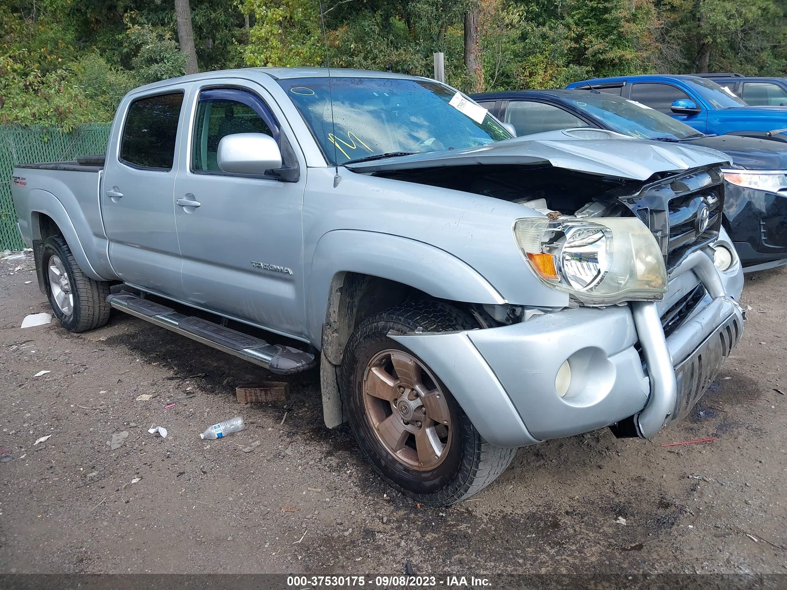 TOYOTA TACOMA 2009 3tmku72n09m018653