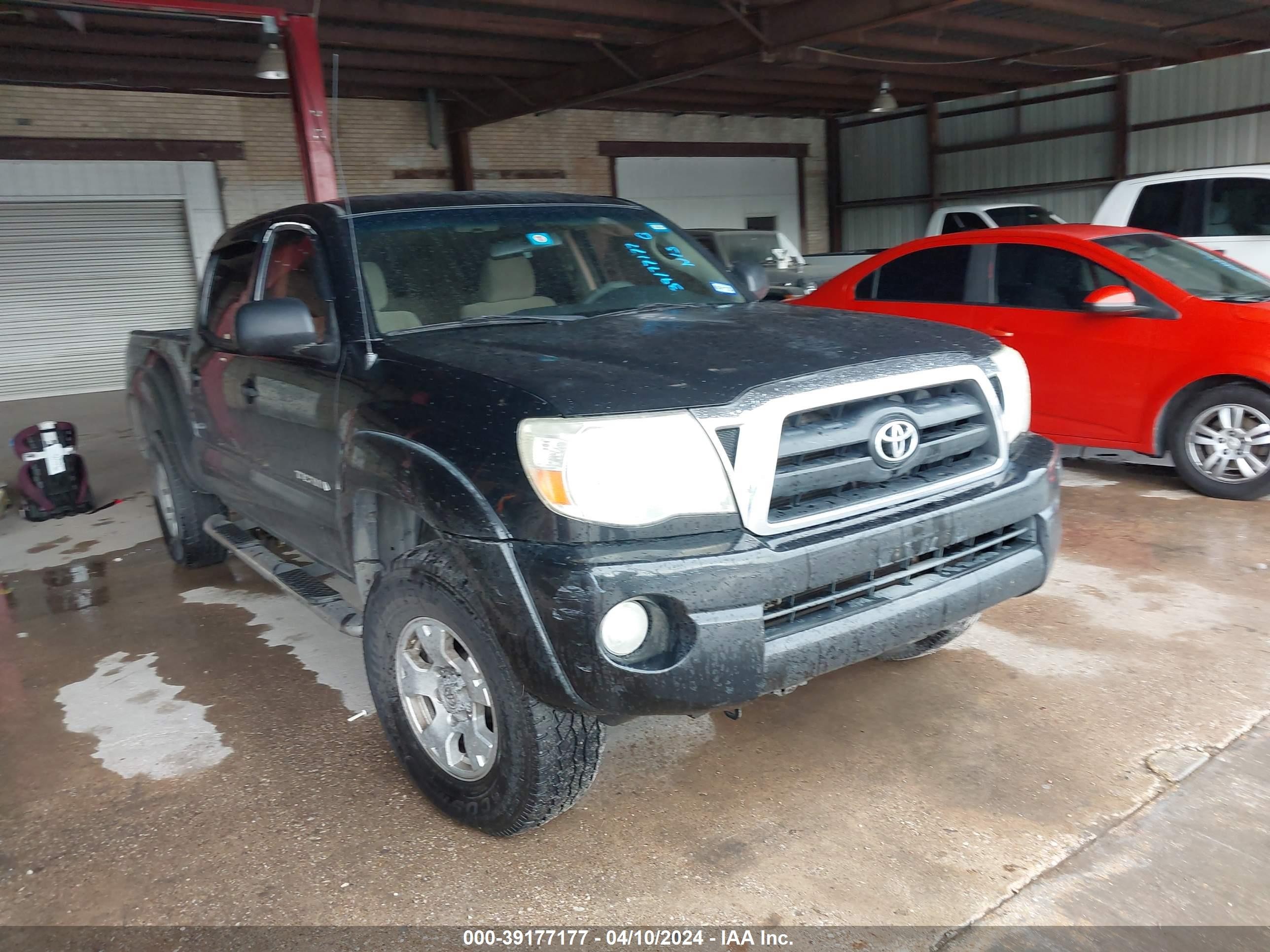 TOYOTA TACOMA 2005 3tmku72n15m003878