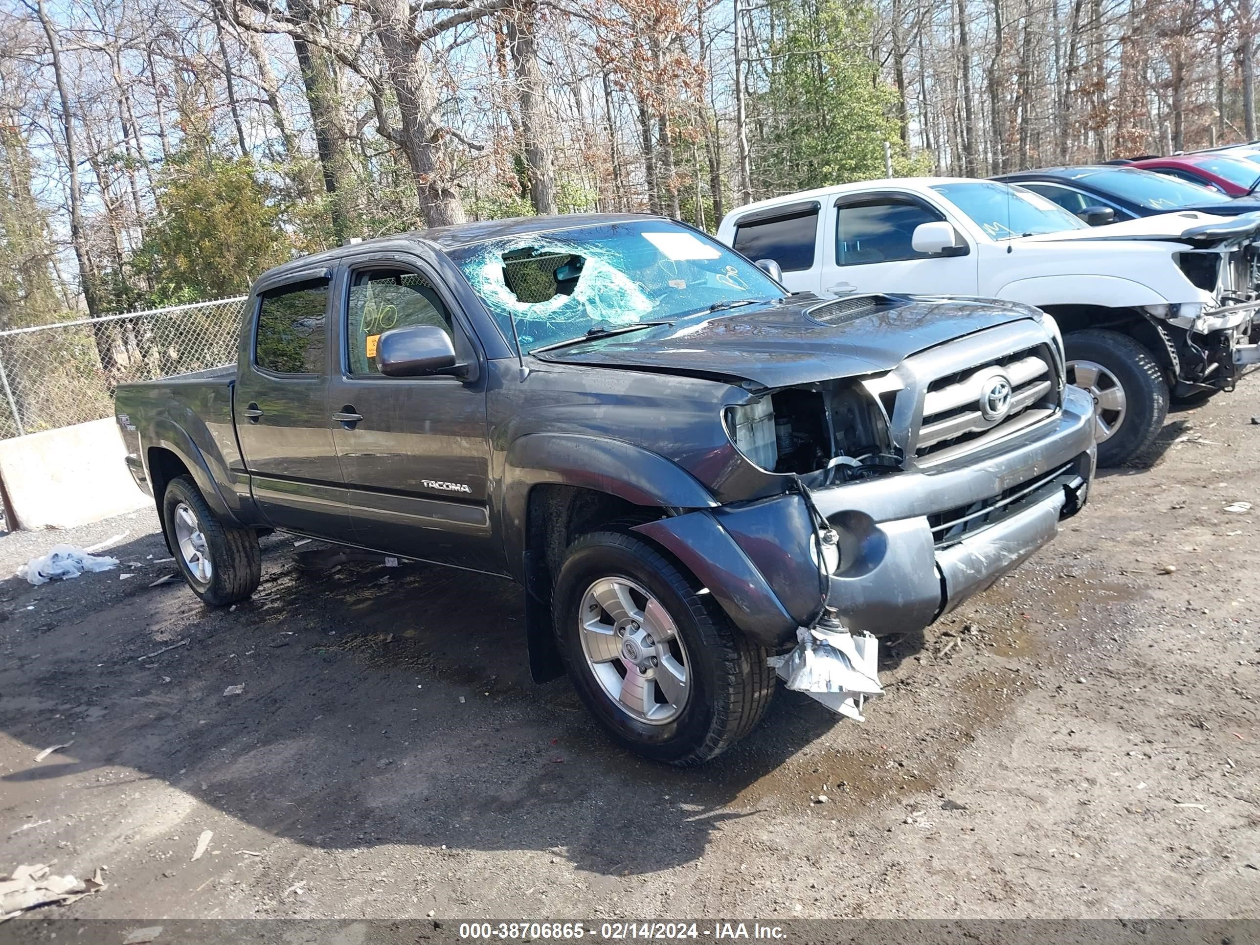 TOYOTA TACOMA 2009 3tmku72n49m019594