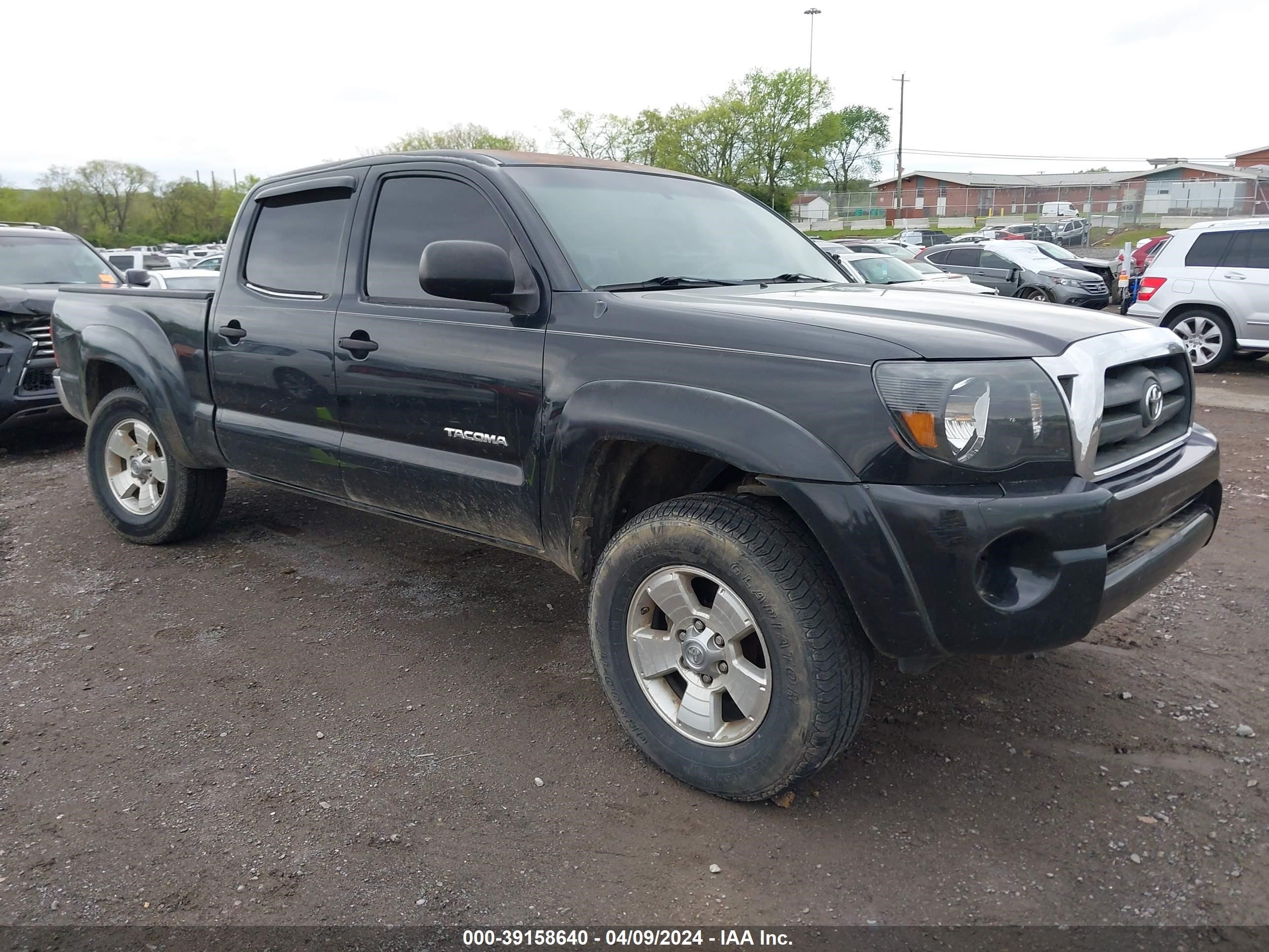 TOYOTA TACOMA 2005 3tmku72n55m001759