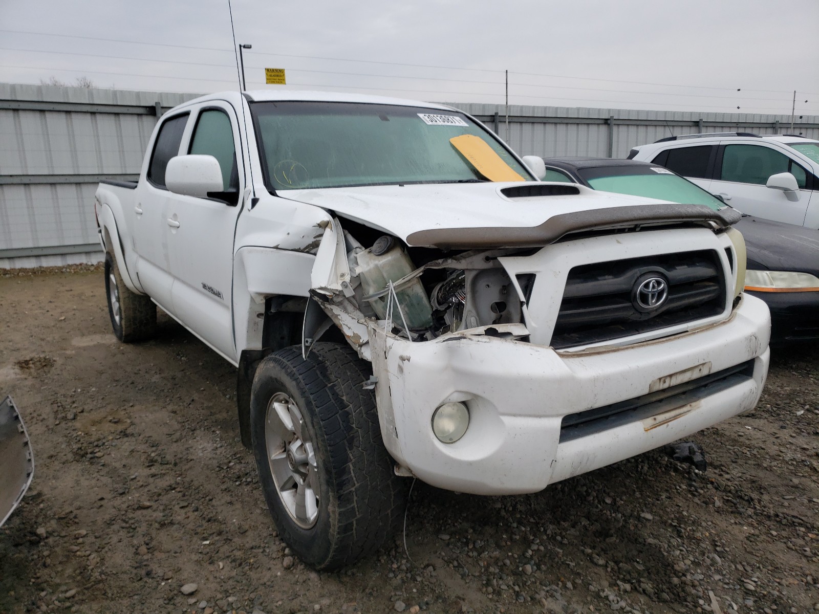 TOYOTA TACOMA DOU 2006 3tmku72n56m004971