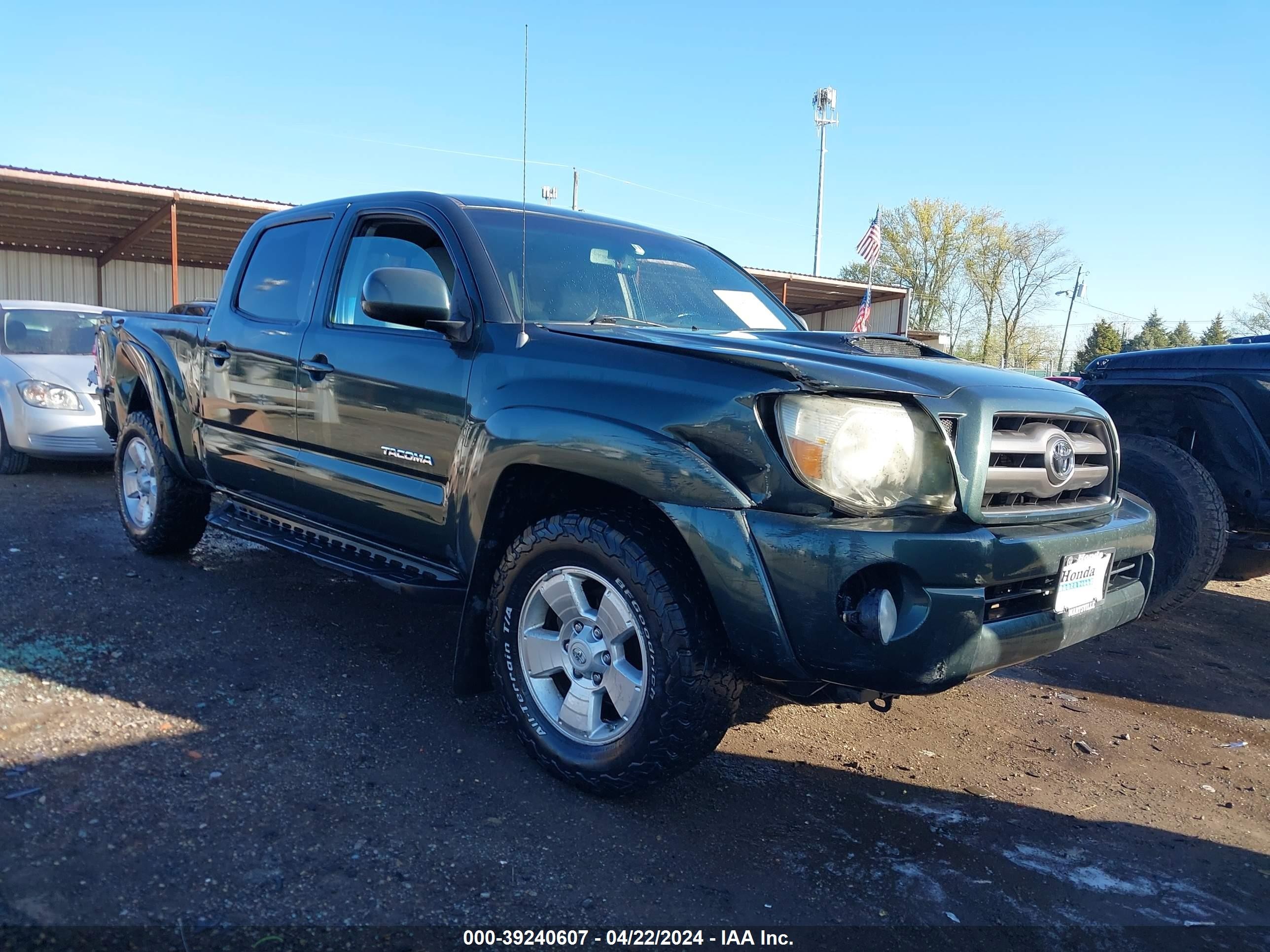 TOYOTA TACOMA 2009 3tmku72n69m018561