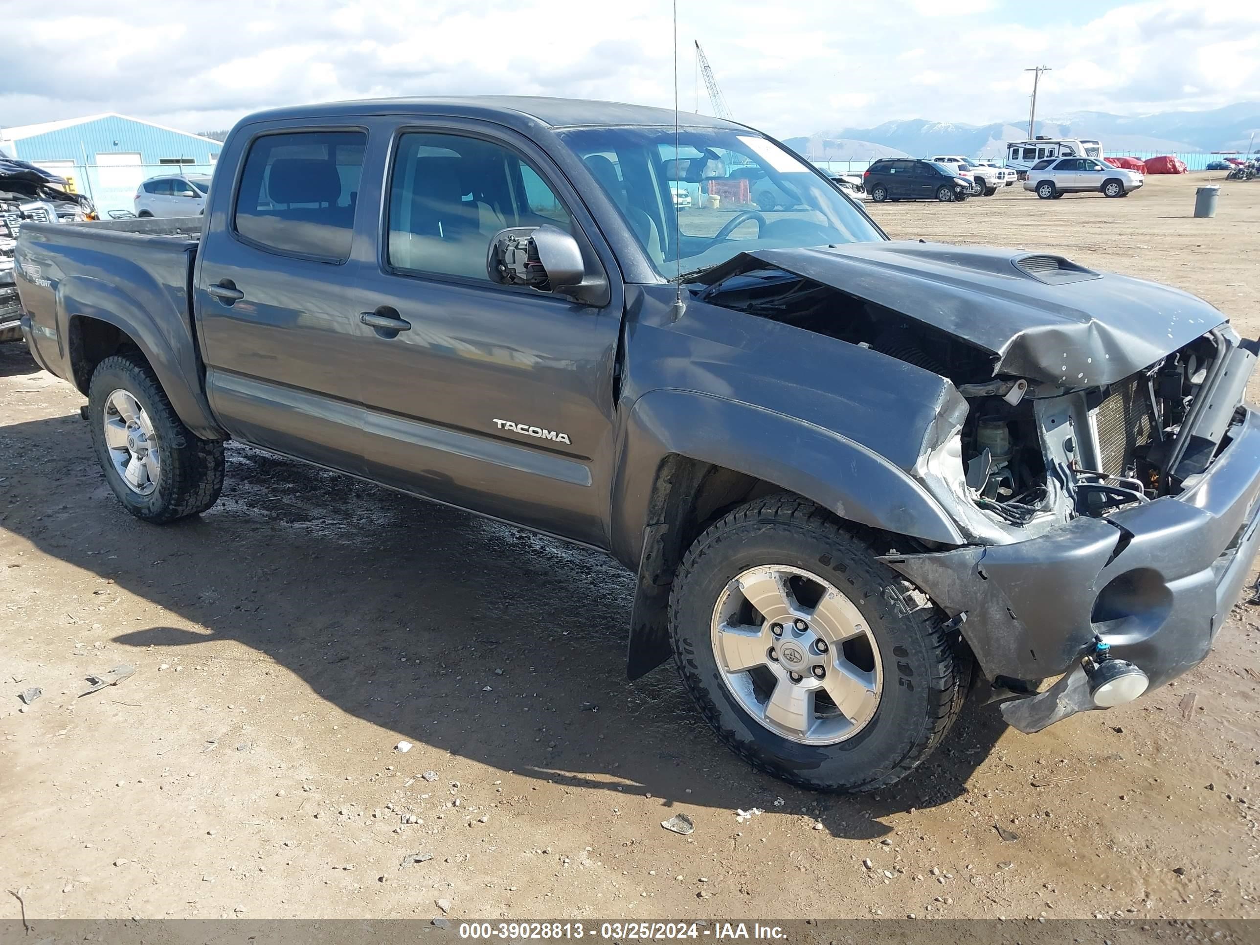 TOYOTA TACOMA 2009 3tmlu42n09m036380