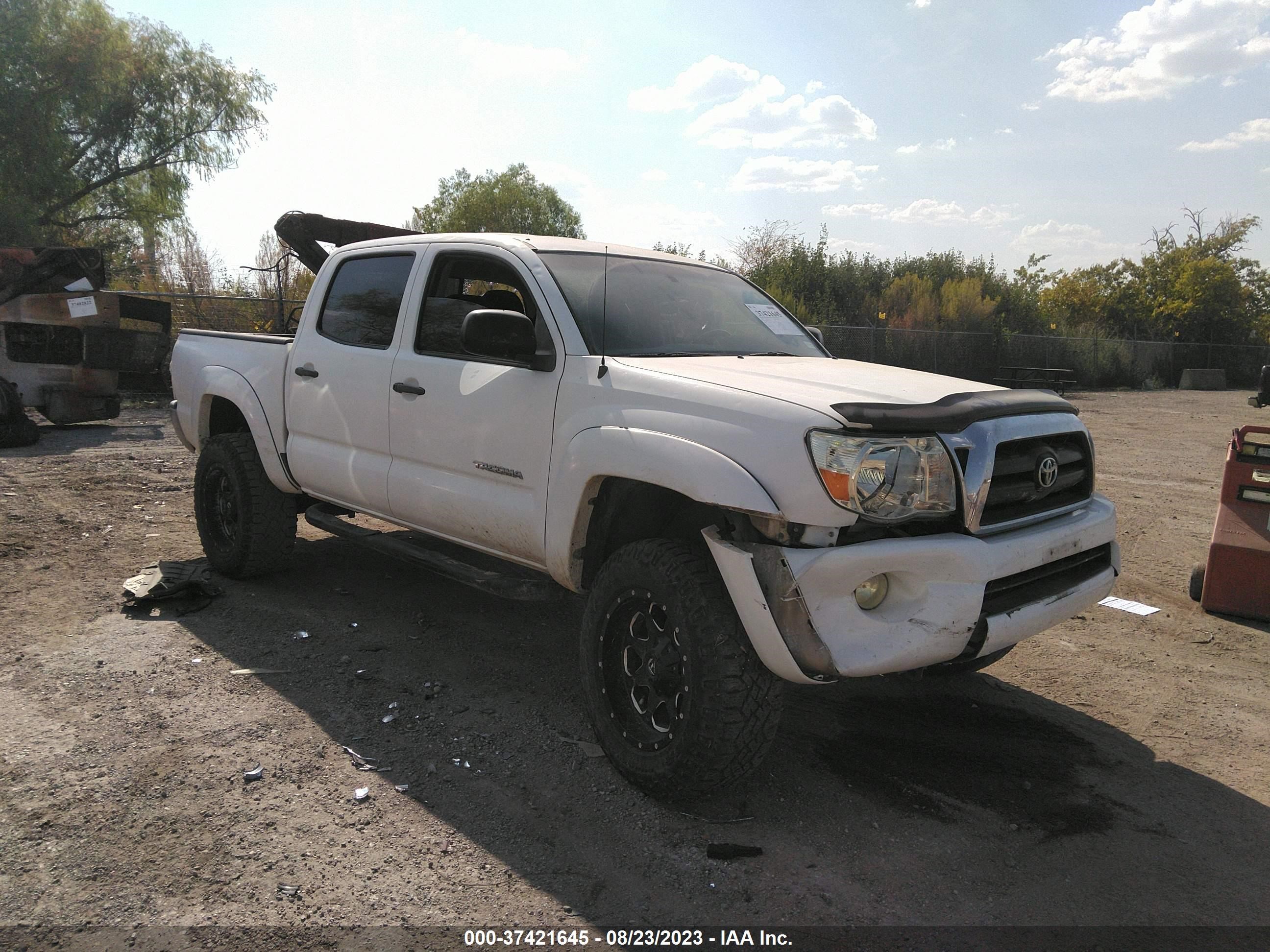 TOYOTA TACOMA 2006 3tmlu42n46m003443